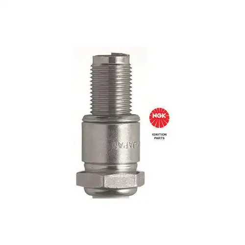 Sparkplug R6725105 NGK