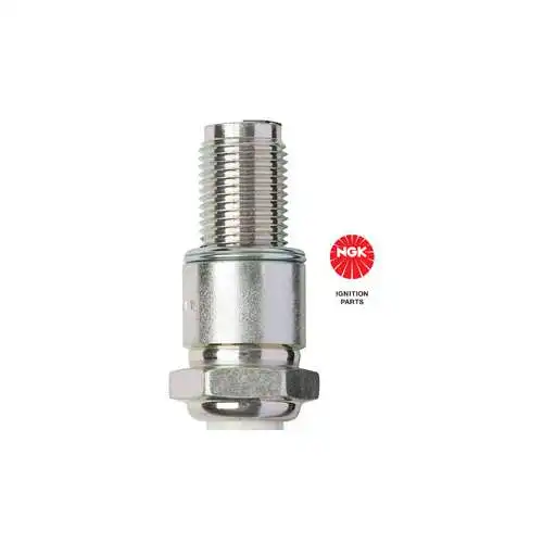 Sparkplug R742010 NGK