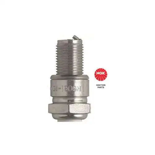 Sparkplug R606110 NGK