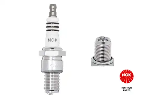 Sparkplug BR9ECSIX5 NGK