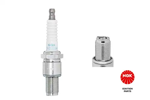 Sparkplug R742011 NGK