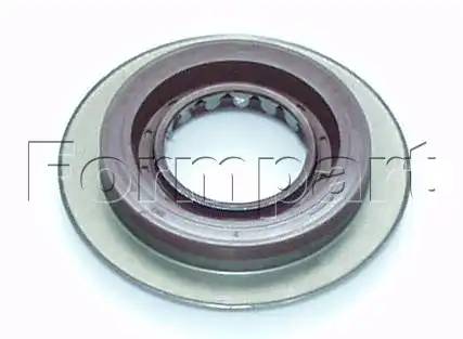  FORMPART 1544031/S САЛЬНИК ХВОСТОВИКА РЕ