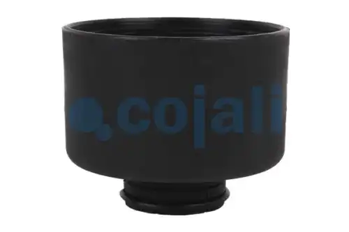 глушитель \ 2310001 COJALI