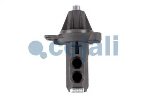 клапан кпп \0,226 Kg 2880122 COJALI