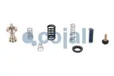 рем. комплект крана \ 6014149 COJALI