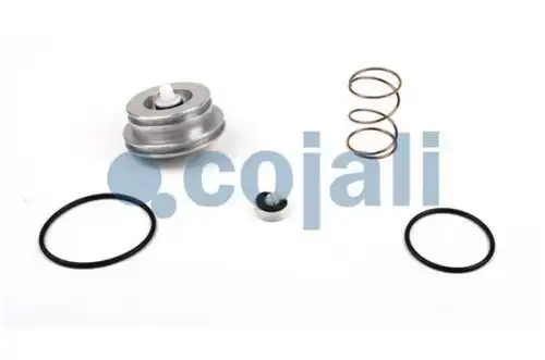 рем. комплект крана \ 6014195 COJALI