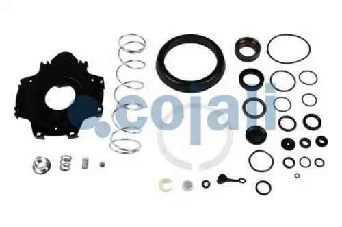РМК ПГУ MANDAF 6032118 COJALI