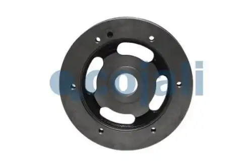 polea embrague ventilador axor \ 7033422 COJALI
