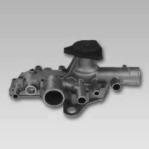 помпа Ren 986925 GK