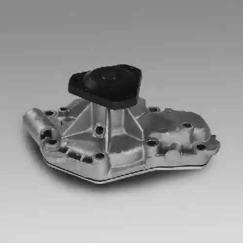 помпа Ren 986848 GK