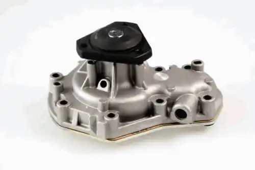 помпа Ren 986818 GK