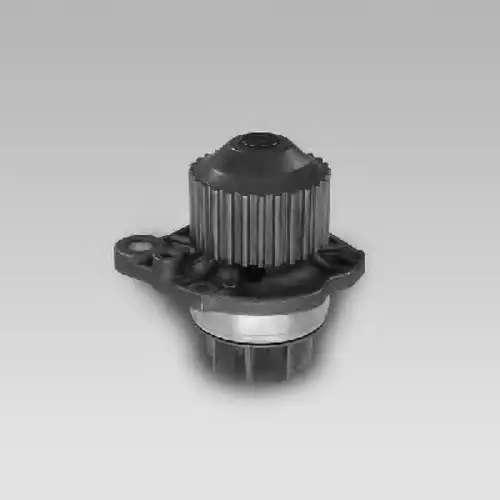 помпа Ren 986890 GK