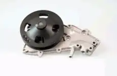 помпа Ren 986937 GK