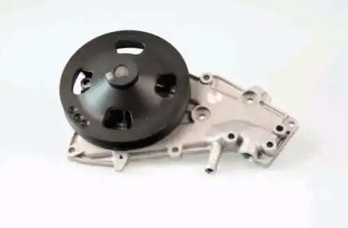 помпа Ren 986937 GK