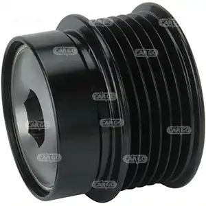 Freewheel pulley OAD 333689 CARGO