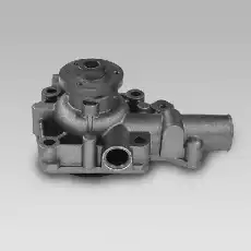 помпа Ren 985913 GK