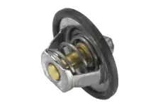 Термостат системы охлаждения WAHLER 3466.89D