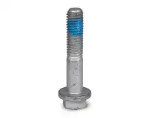 999255 FLANGE SCREW VOLVO