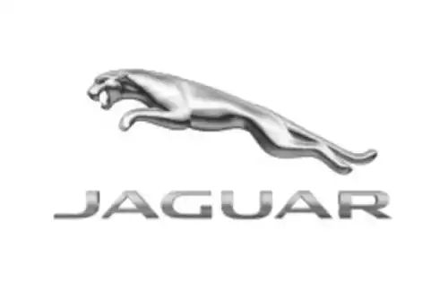 Коврики в салон JAGUAR C2D27557