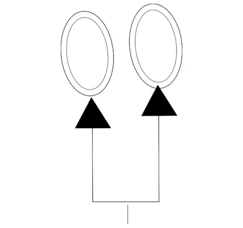O-RING C2P24809 JAGUAR