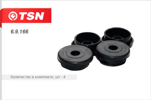 69166 tsn