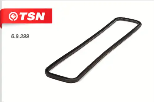Прокладка клапанной крышки TSN 6.9.399
