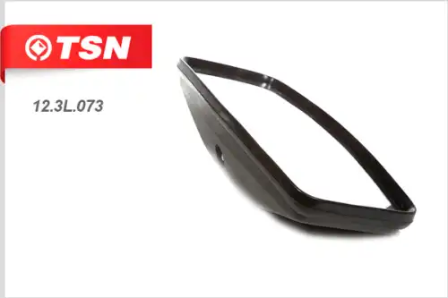 123l073 tsn