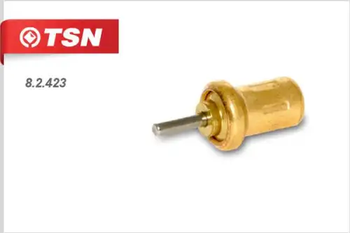 82423 tsn