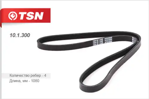 TSN 10.1.300