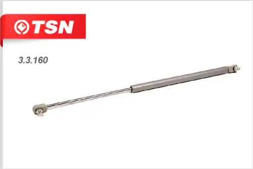 3.3.160 Упор газовый TSN