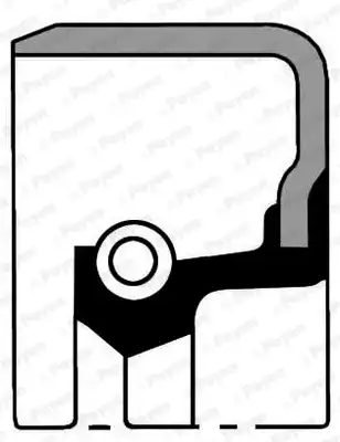 Shaft Seal, wheel hub NA583 PAYEN