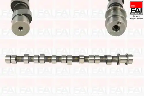 Camshaft C217 FAI AUTOPARTS