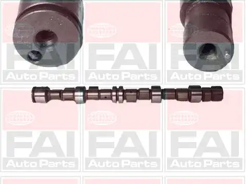 Camshaft C189 FAI AUTOPARTS