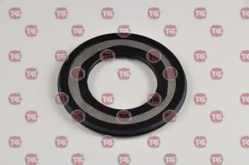 САЛЬНИК КПП T20829 TAS