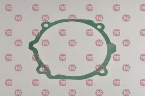 прокладка КПП ZF T21194 TAS