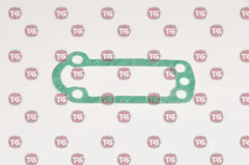 прокладка КПП! \ZF T21916 TAS