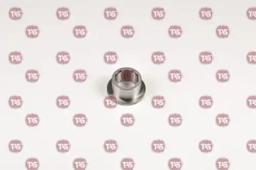 t00669 tas
