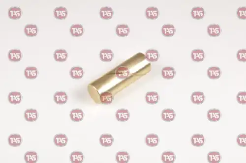 Элемент блокировки синхронизатора T00679 TAS