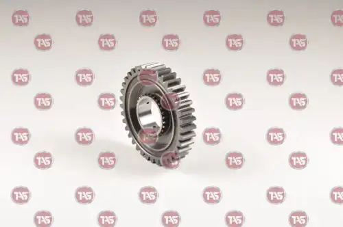 t00681 tas