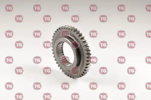 t00683 tas