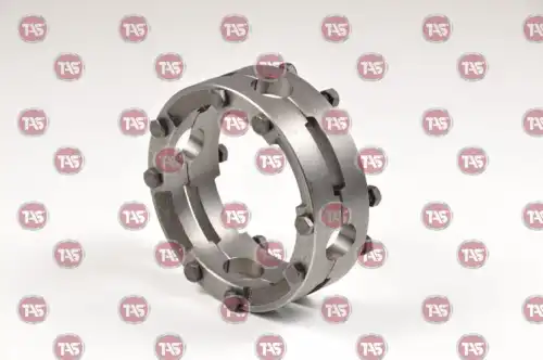 t09213 tas