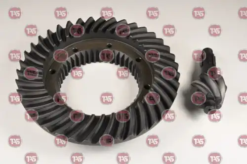 0 T10047 TAS