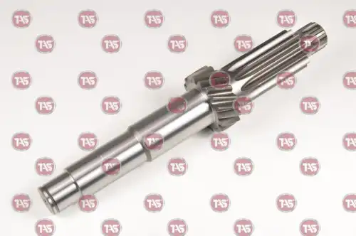 t11019 tas