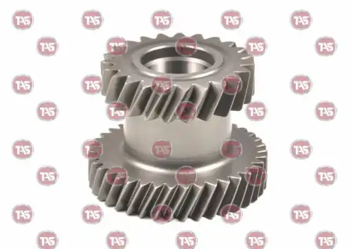 t11021 tas