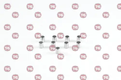 Ролик КПП сухаря муфты , 8856938 T12047 TAS
