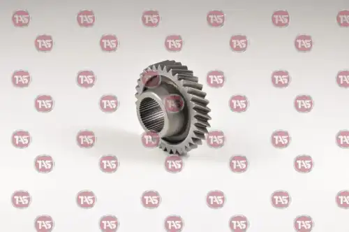 t16616 tas