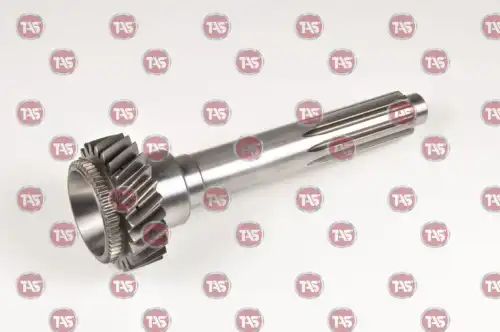 t18303 tas