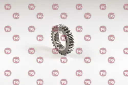 GEAR M/S 28 T. T01033 TAS