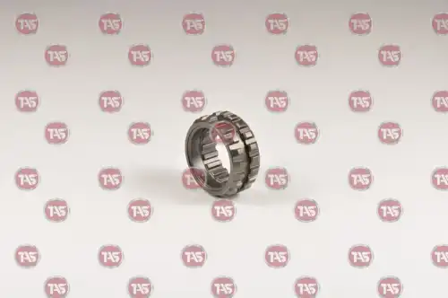 0 T01109 TAS