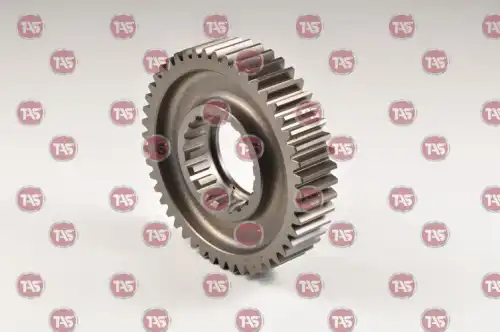 GEAR 48 T. T06301 TAS